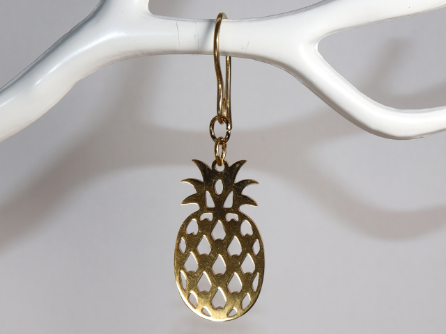 stainless steel earrings