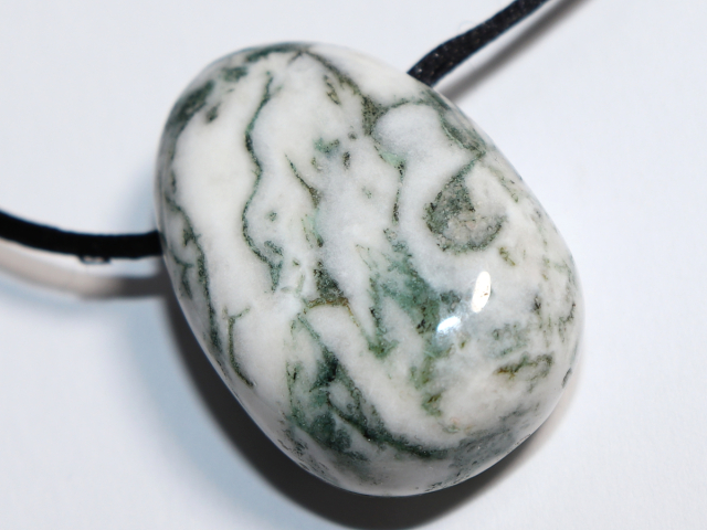 tree agate with cord or silver 925