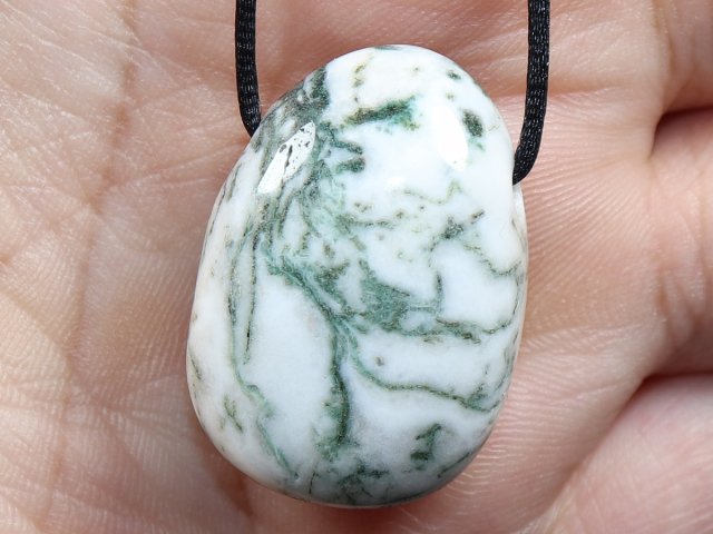 tree agate with cord or silver 925