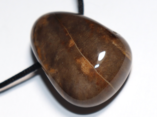 versteinertes Holz mit Band oder Silber 925