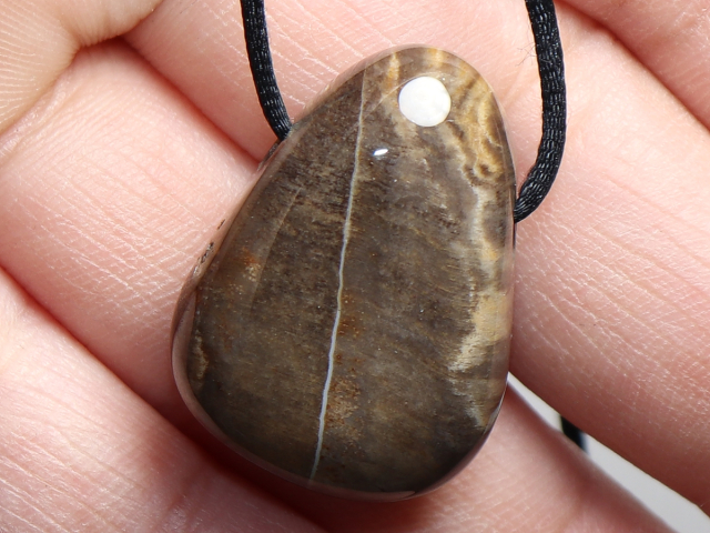 versteinertes Holz mit Band oder Silber 925