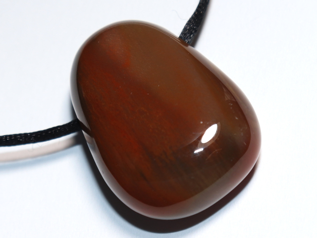 versteinertes Holz mit Band oder Silber 925