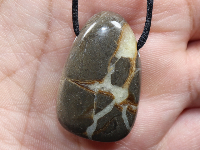 Septarie mit Band oder Silber 925