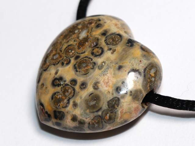 leopard rhyolite with cord or silver 925