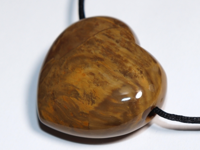 petrified wood with cord or silver 925
