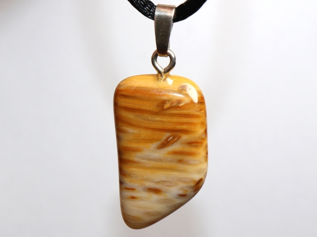 petrified palm wood with cord or silver 925