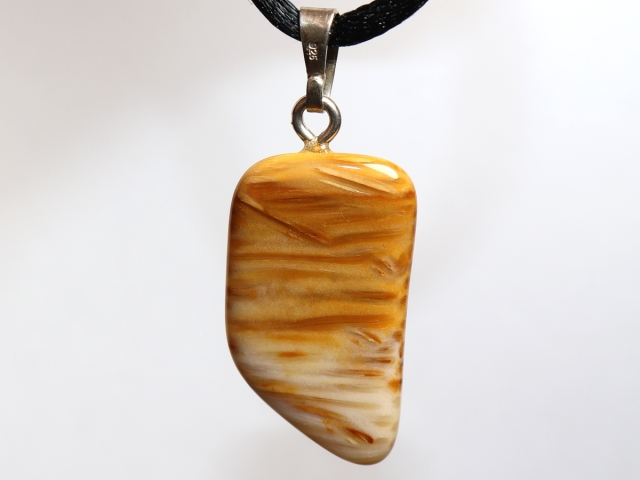petrified palm wood with cord or silver 925