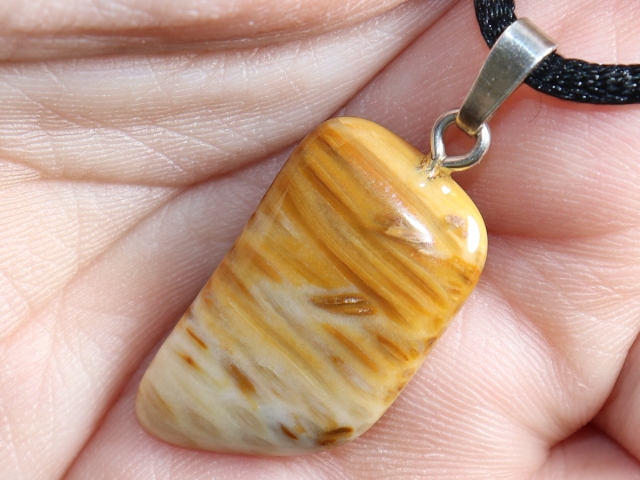 petrified palm wood with cord or silver 925