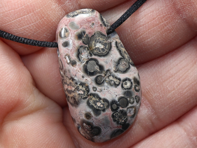 leopard rhyolite with cord or silver 925