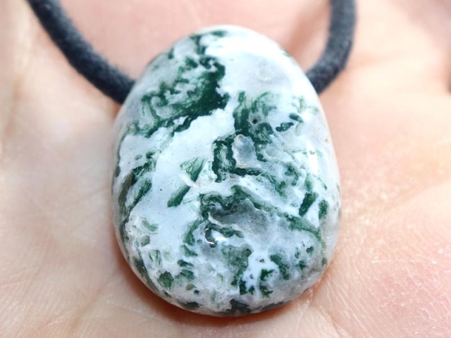 Tree agate on cord