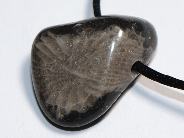 frosterley marble with cord or silver 925