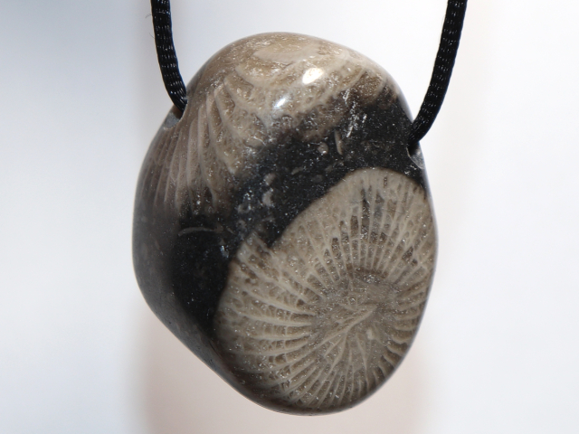 Frosterley-Marble mit Band oder Silber 925