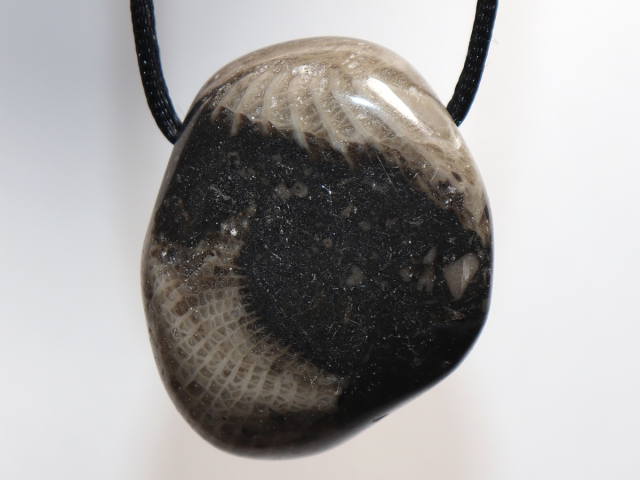 Frosterley-Marble mit Band oder Silber 925
