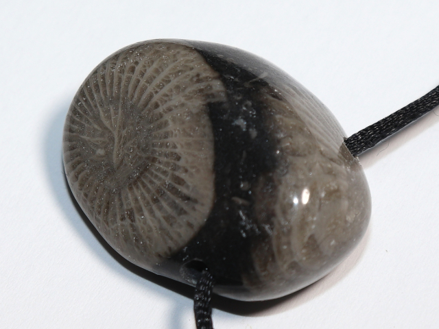 Frosterley-Marble mit Band oder Silber 925
