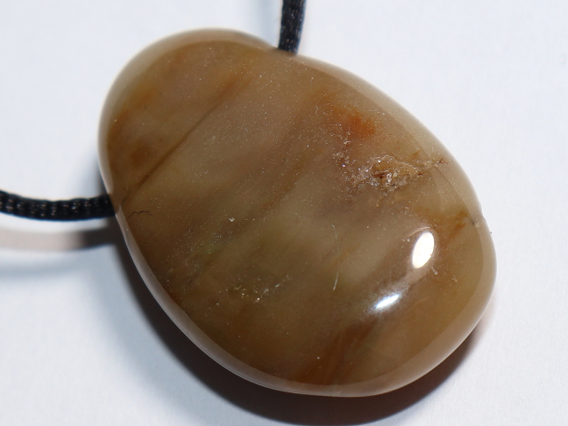 Preview: versteinertes Holz mit Band oder Silber 925