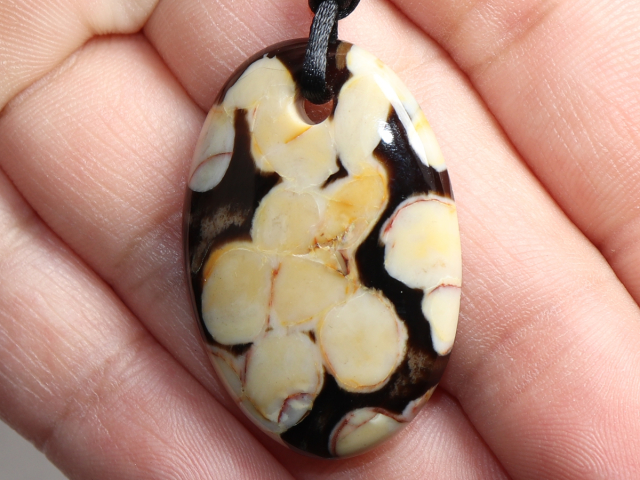 Peanut-Wood-Jaspis mit Band