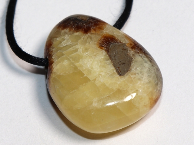 Septarie mit Band oder Silber 925
