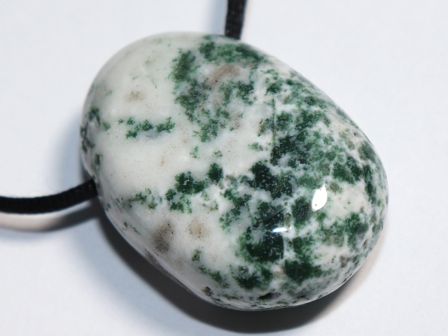 tree agate with cord or silver 925