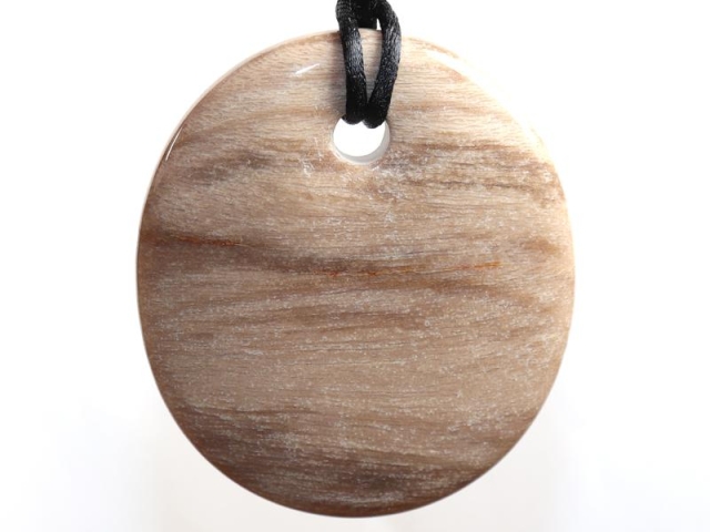 Fossilized wood on cord