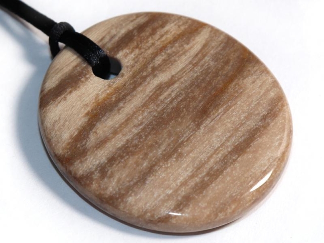 Fossilized wood on cord