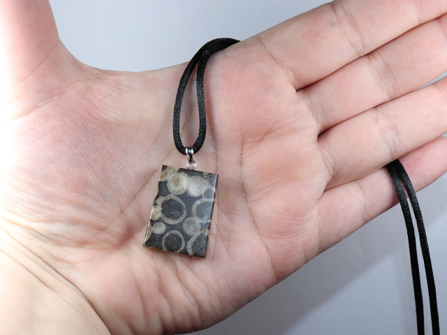 fossilized coral with cord or silver 925