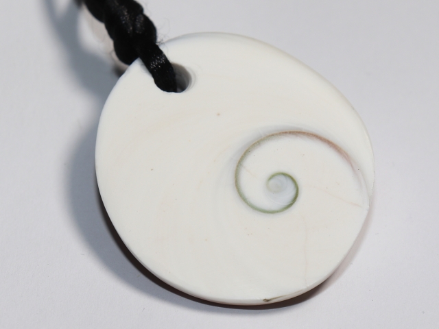 operculum with cord