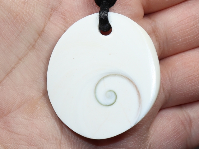 operculum with cord