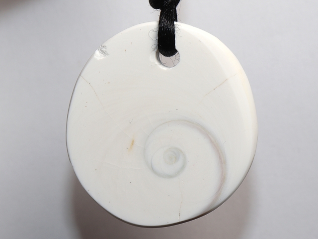 operculum with cord