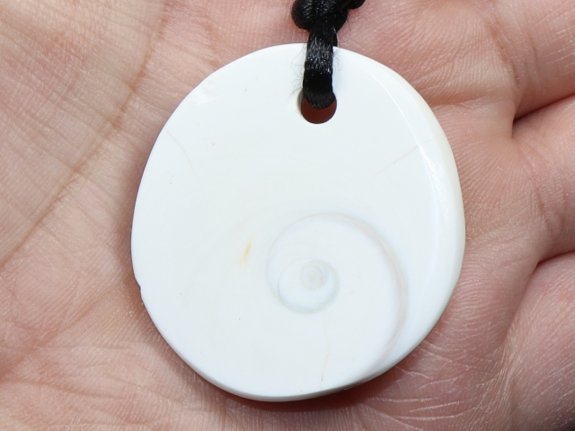 operculum with cord