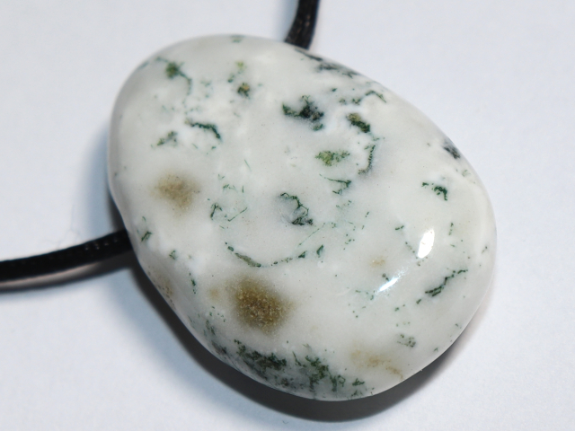 tree agate with cord or silver 925