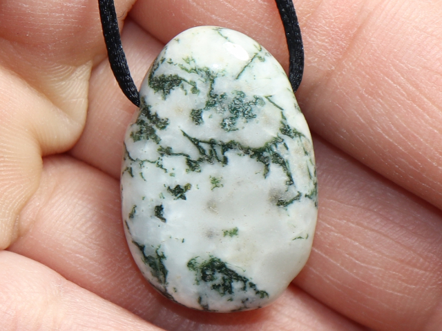 tree agate with cord or silver 925