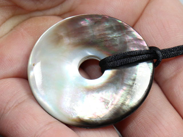 abalone shell with cord