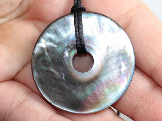 abalone shell with cord