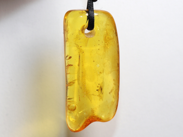 Preview: Bernstein mit Band