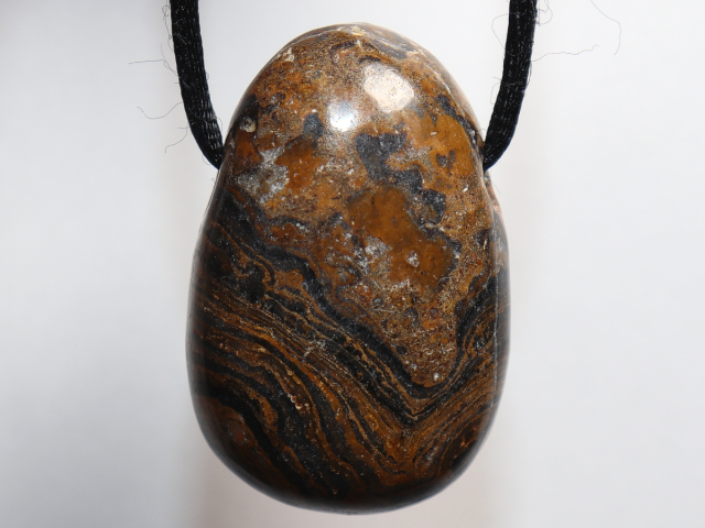 Stromatolith mit Band oder Silber 925