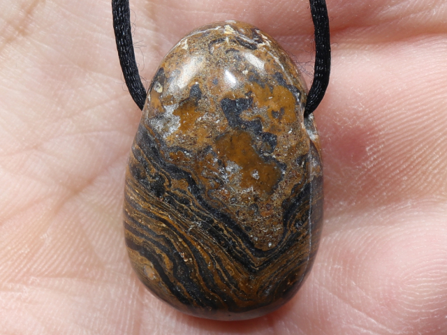 Stromatolith mit Band oder Silber 925