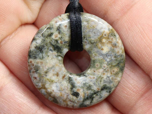 Ozeanjaspis mit Band