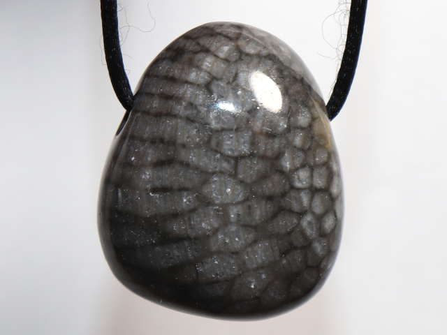 Preview: gray coral with cord or silver 925