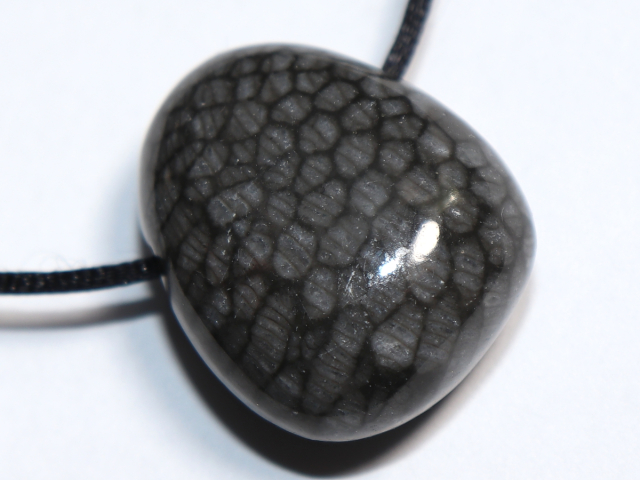 gray coral with cord or silver 925
