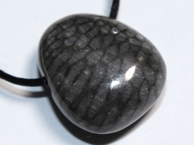 gray coral with cord or silver 925
