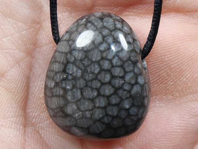 gray coral with cord or silver 925
