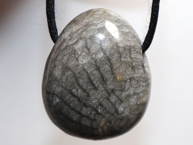 gray coral with cord or silver 925