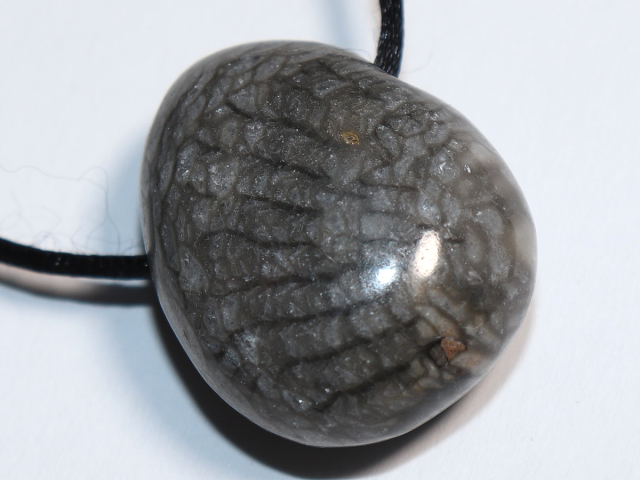 Preview: gray coral with cord or silver 925