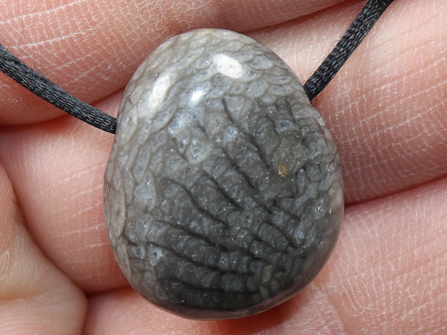 gray coral with cord or silver 925