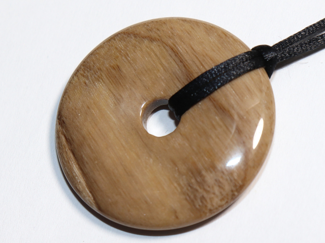 versteinertes Holz mit Band