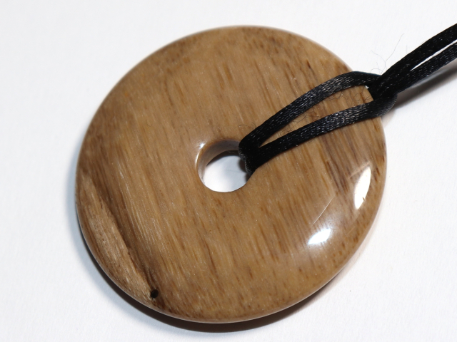 versteinertes Holz mit Band