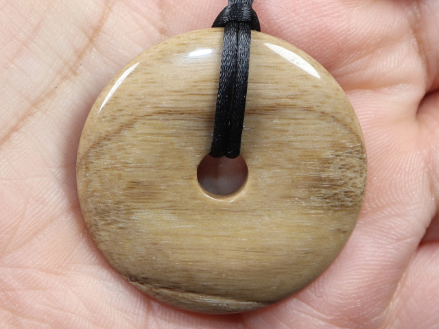 versteinertes Holz mit Band