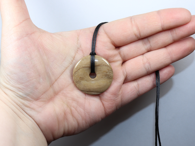 versteinertes Holz mit Band