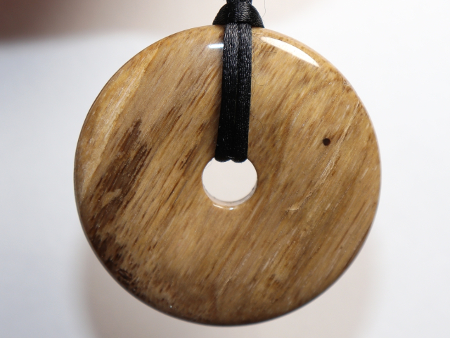 versteinertes Holz mit Band