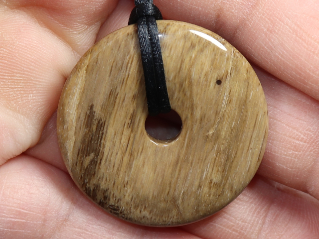 versteinertes Holz mit Band